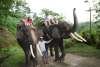 bali-elephant-ride-baliguiaviaje 4