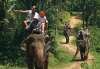 bali-elephant-ride-baliguiaviaje