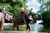 bali-elephant-ride-baliguiaviaje 3